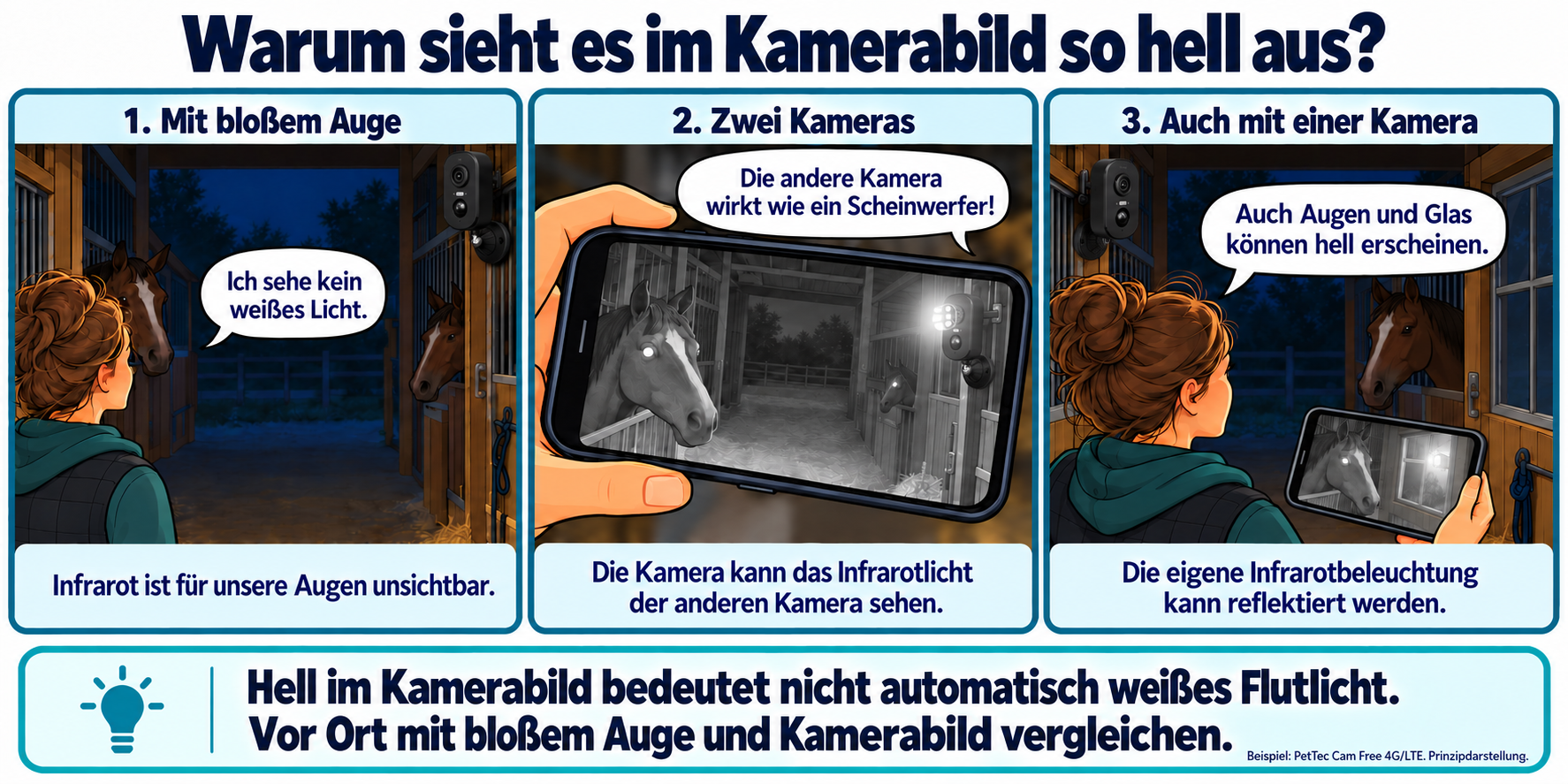 Infrarot-Nachtsicht: Vergleich mit bloßem Auge, zwei Kameras sowie Reflexionen von Augen und Glas bei einer einzelnen Kamera.